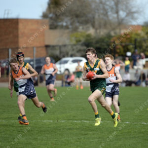 U17Footy 2903298