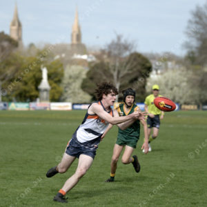 U17Footy 2903304