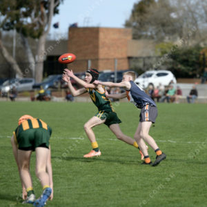 U17Footy 2903308