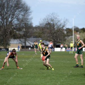 U17Footy 2903309