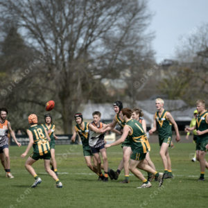 U17Footy 2903316