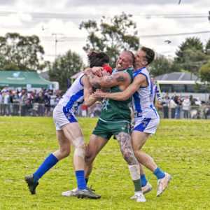 bflfooty 2910720