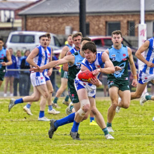 bflfooty 2910721