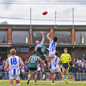bflfooty 2910723