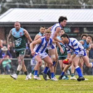 bflfooty 2910724