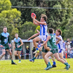 bflfooty 2910729
