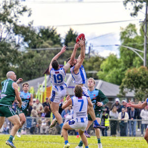 bflfooty 2910731