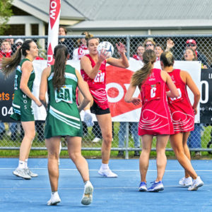 bnlnetball 2910083