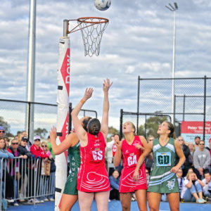 bnlnetball 2910084