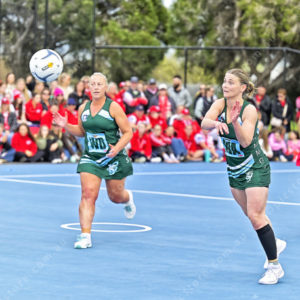 bnlnetball 2910308