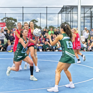 bnlnetball 2910309