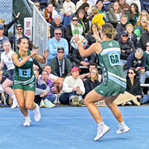bnlnetball 2910315