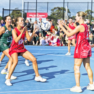 bnlnetball 2910320