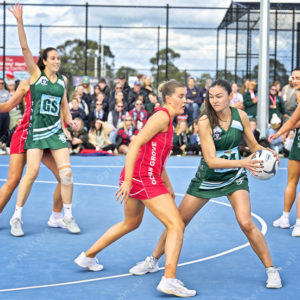 bnlnetball 2910329