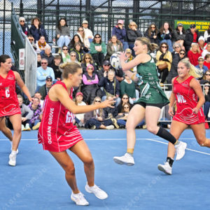 bnlnetball 2910332