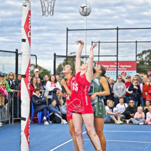 bnlnetball 2910338