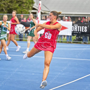 bnlnetball 2910340