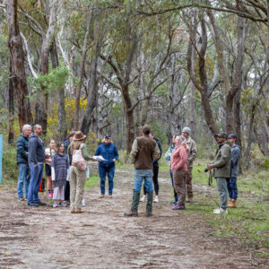 bushwalk 2919067