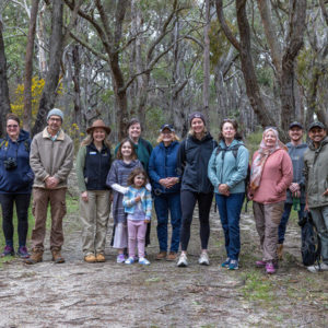 bushwalk 2919070