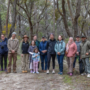 bushwalk 2919073