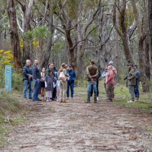 bushwalk 2919075