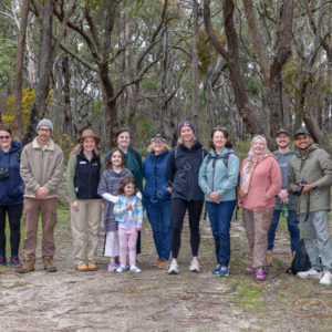 bushwalk 2919076