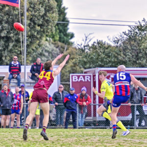 gdflfooty 2903402