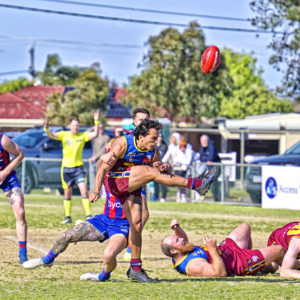 gdflfooty 2903416