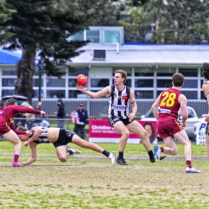 gdflfooty 2918203