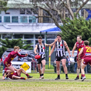 gdflfooty 2918205