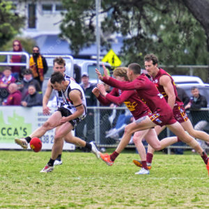gdflfooty 2918206