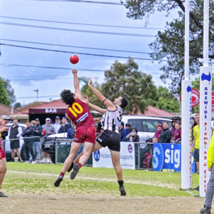 gdflfooty 2918207
