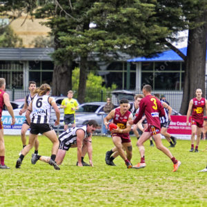 gdflfooty 2918208