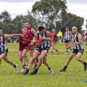 gdflfooty 2918210