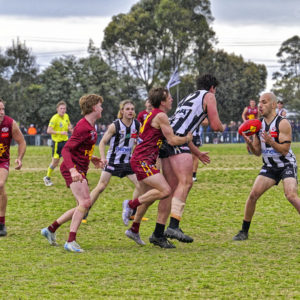 gdflfooty 2918211