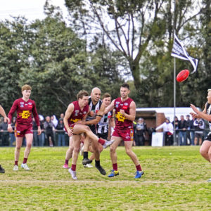 gdflfooty 2918212