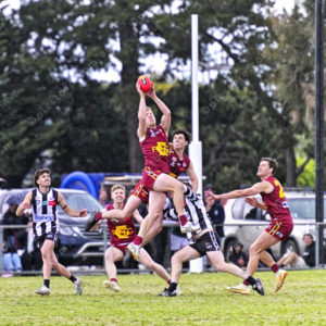 gdflfooty 2918213