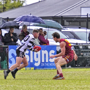 gdflfooty 2918215