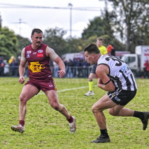 gdflfooty 2918216