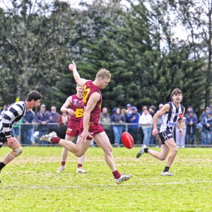 gdflfooty 2918219