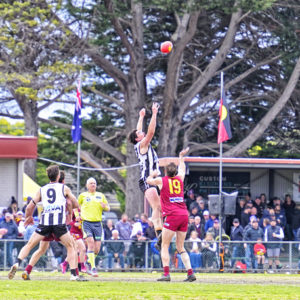 gdflfooty 2918220