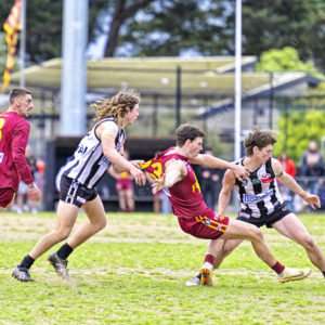 gdflfooty 2918222