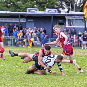 gdflfooty 2918227