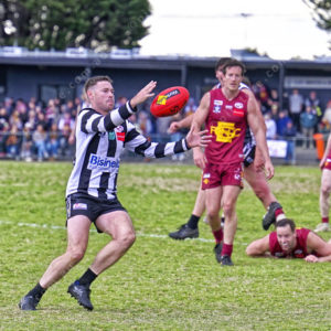 gdflfooty 2918228