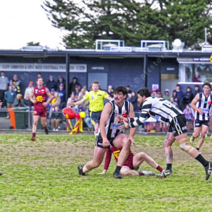 gdflfooty 2918229