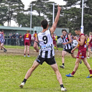 gdflfooty 2918231