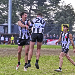 gdflfooty 2918232