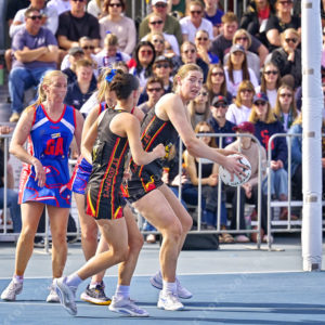 gnlnetball 2902813