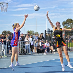 gnlnetball 2902822