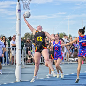 gnlnetball 2902830